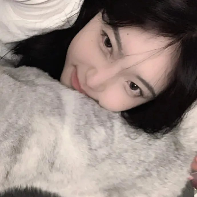 哥伦比亚马戏团